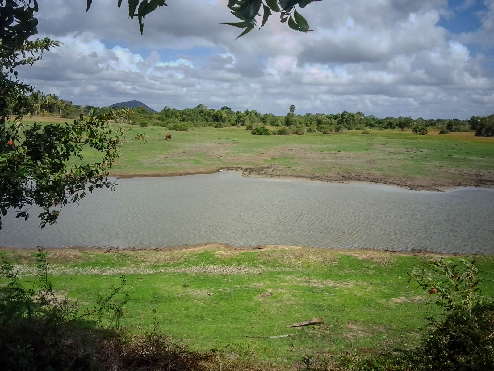 දුනුමඩලෑව එල්ලංගා පද්ධතියේ තිරසාර ජල කළමනාකරණයට පියවරක් – වැව් හඳුනාගැනීම හා ප්‍රතිසංස්කරණ අවශ්‍යතා පිළිබඳ සාමූහික සාකච්ඡාව සාර්ථකව පැවැත්වේ